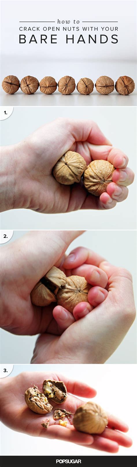 How To Crack Walnuts Without A Nutcracker How to open a walnut without a nut cracker (two different methods  demonstrated by "A Walnut Master") - YouTube